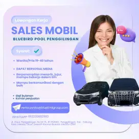 Sales mobil used car