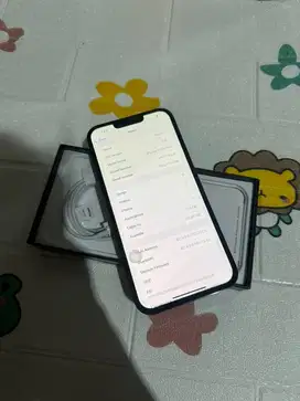 iPhone 13 ProMax 128GB ex inter green