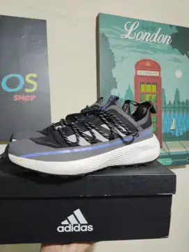 Adidas Terrex pria