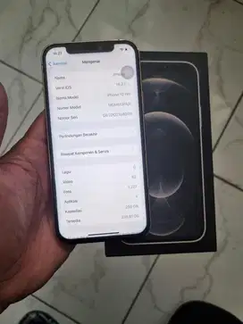 Iphone 12 Pro 256Gb Pa/a 5G Ibox resmi lnglp ori (Notip icalor bs Tt)
