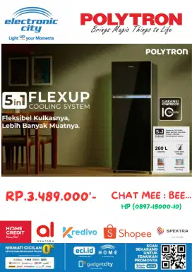 polytron prw 29hb