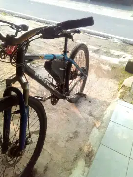 Sepeda dewasa polygon