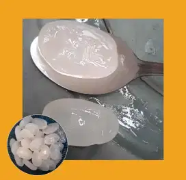 Supplier Kolang Kaling