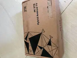 stb zte b860h v5