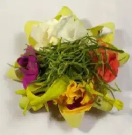Canang sari iluk ( canang sehari hari )