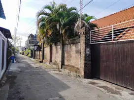 BUC Rumah 2 Are di Sesetan