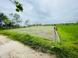 Tanah pantai nyanyi tabanan