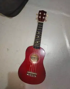 ukulele kahuna AU01-21-BRW