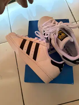 Adidas superstar BNIB