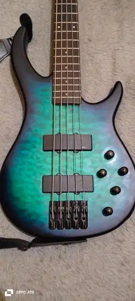 Bass peavey millenium 5 string
