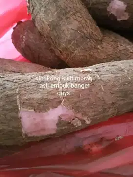 Singkong /singkong