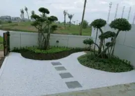 Mnrima pembuatan taman minimalis redy