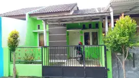 Di jual atau di kontrakan