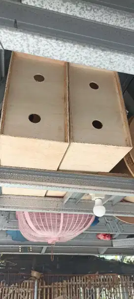 Box tempat ayam
