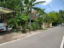 Pekarangan Ideal Siap Bangun Dekat Pasar Nusukan