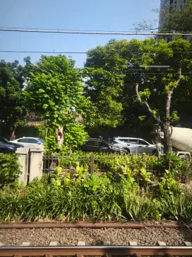 Dicari ART daerah Citra Raya