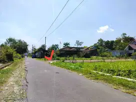 Tanah Pekarangan View Sawah di Ngaglik Sleman Yogyakarta TP 052