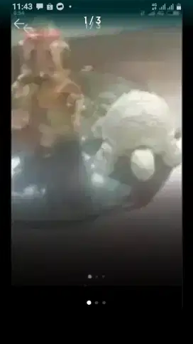 patung kura2 dan keramik borongan murah