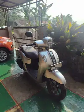 fazzio 2023 tipe teringgi