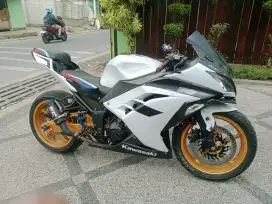 Kawasaki Ninja 250R fi 2013