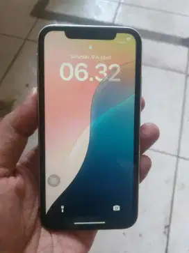 iphone 11 inter 256GB