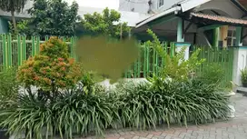 Dijual rumah tenggilis mejoyo surabaya