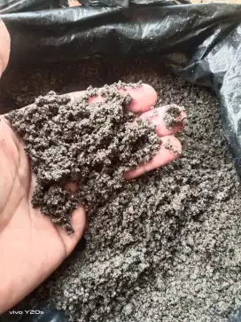Pasir cor pasir hitam buat ngedak