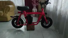 Fiido Q1 Lowrider