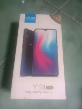 Kardus vivo y91 2019