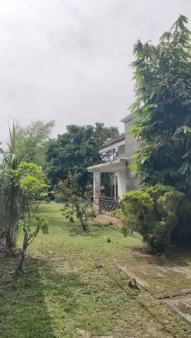 Rumah Mewah Murah