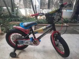 Sepeda anak element 16