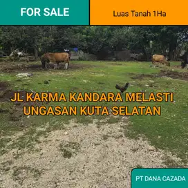 LAND FOR SALE MELASTI UNGASAN 1 HA