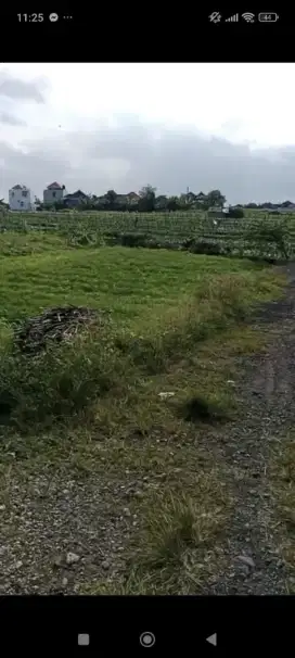 TANAH KAVLING CEMPAKA DALUNG ViEWW SAWAH DEKAT CANGGU