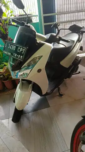 Lexi putih tahun 2020 pajak hidup