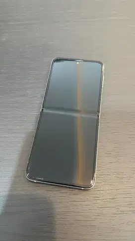 Samsung Galaxy Z Flip 3 8/128 GB Beige