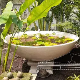 pot terraso pot tanaman air teratai