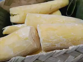 Tape manis asli bondowoso