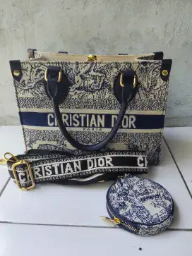 BUC Tas Christian Dior