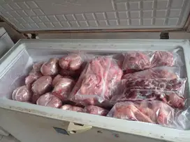 Daging Kelinci Impor Fillet – Pakan Hewan Tanpa Tulang