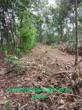 Tanah/Kebun Luas di Desa Tanggulun Barat Subang