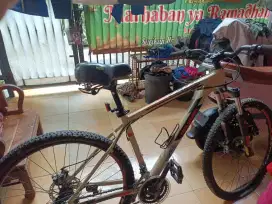 Sepeda gunung polygon