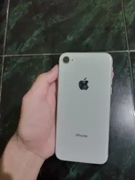 Ip 8 wifi only mulus