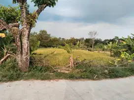 Tanah sangat nyamam dan adri jalan palagan Kam 12