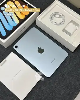 iPad Mini 7 256 Gb Wifi Only