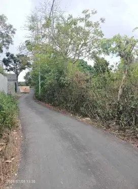 Tanah Belong Bunter Pecatu Kuta Selatan Badung