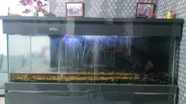 Aquarium Besar Bekas