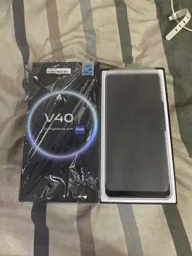 Vivo V40 ram 12/256