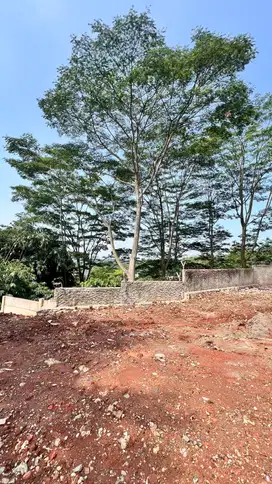 Dijual Cepat Tanah Suradita Cisauk Tangerang