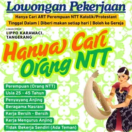 ART PEREMPUAN NTT URUS ANJING DAN BERSIH - BERSIH