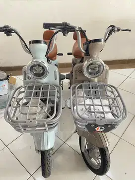 Sepeda Listrik Tipe 150 panda
